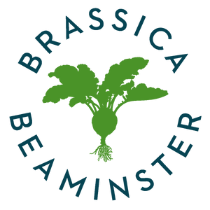 Brassica Restaurant - Beaminster